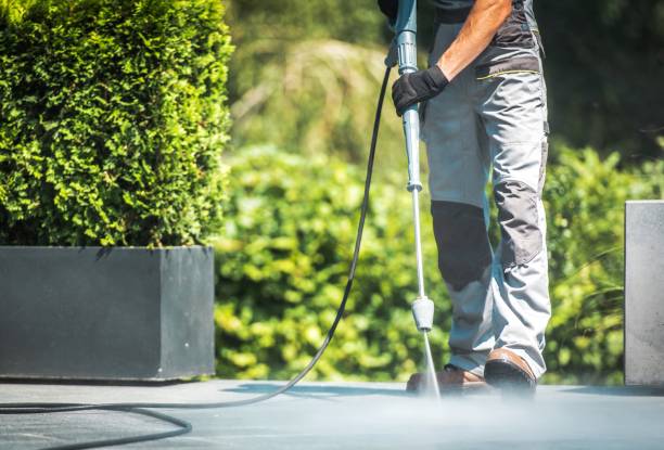 Pre-Holiday Cleaning in Colorado Springs, CO